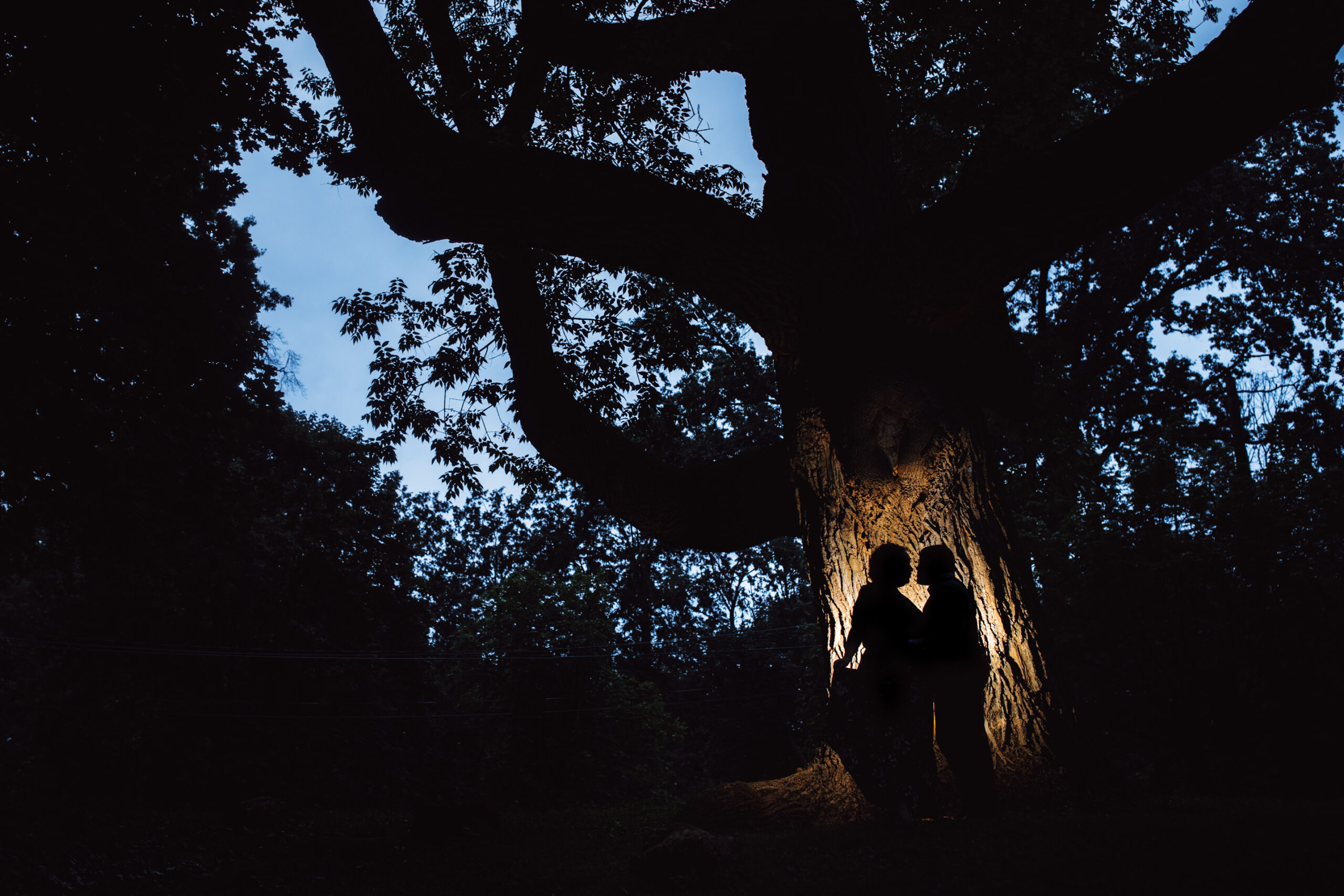 A silhouette of a couple embracing can be seen highlighted against a large tree at night